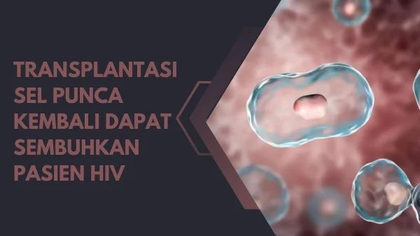 Transplantasi Sel Punca Kembali Dapat Sembuhkan Pasien HIV